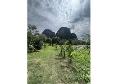 Land for sale in Ao nang