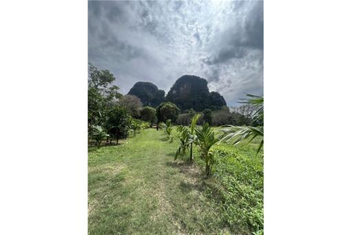 Land for sale 4 Rai 1.7million baht/rai