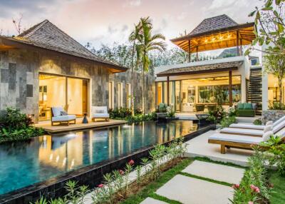 Luxurious Modern-styled Villas