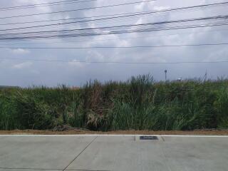 Beautiful plot of land for sale, ready to build a house, warehouse or factory.