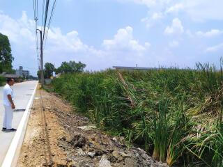 Beautiful plot of land for sale, ready to build a house, warehouse or factory.
