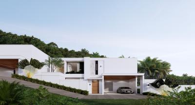 3 bedroom harmonious combination of luxury villa
