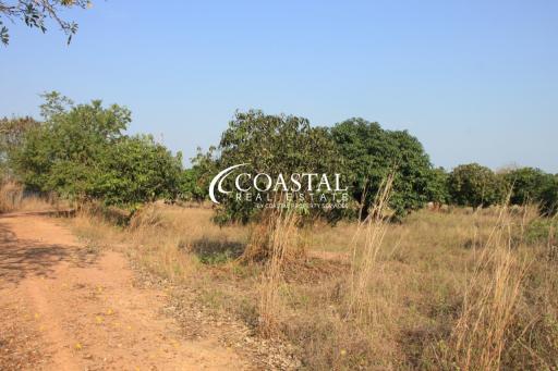 Land For Sale Nong Palai