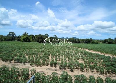 Land For Sale Baan Amphur