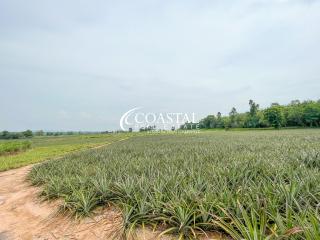 Land For Sale Mabprachan/Pong