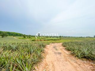 Land For Sale Mabprachan/Pong