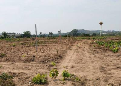 18 Rai Land For Sale Tungklom Talman Rd, Muang Pattaya, Bang Lamung, Chon Buri