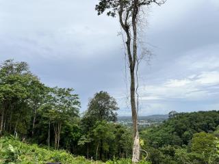 2 Sides Seaview Land for sale in Si Sunthorn, Phuket