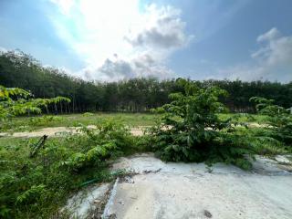 Phuket’s Land for Sale / Suitable for Villas Project