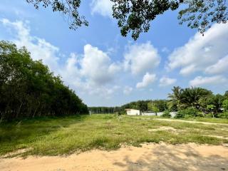 Phuket’s Land for Sale / Suitable for Villas Project