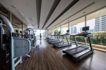 Ivy ThongLor Condo, Sukhumvit 55