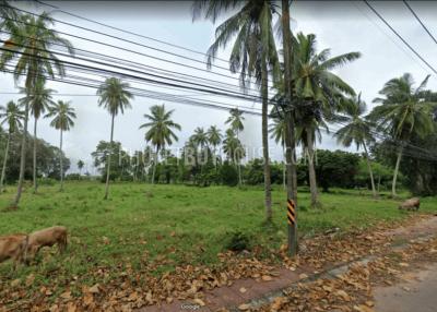 PHA7129: Huge Land Plot Very Close to Natai Beach