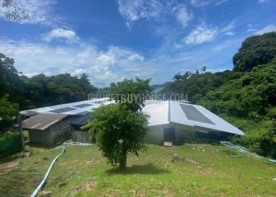 RAW6996: Plot of Land for Sale in Rawai