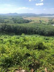 PHA6968: Plot of Land for Sale in Ko Yao Noi