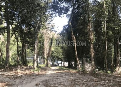 PAT6777: Plot of Land for Sale in Kalim area