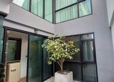 For Sale Bangkok Town House Glam Ladprao 71 Satri Witthaya 2 yeak 23 Lat Phrao