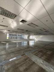 For Rent Bangkok Office Phloen Chit BTS Phloen Chit Pathum Wan