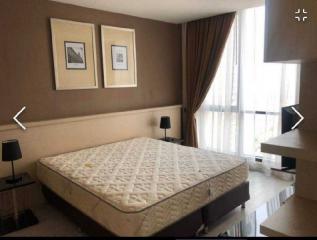 For Rent Bangkok Condo Movenpick Residences Ekkamai Bangkok Sukhumvit 63 BTS Ekkamai Watthana