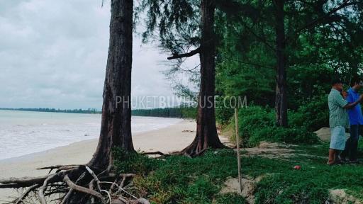 PHA5855: Beachfront Plot in Pangna