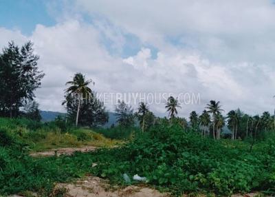 PHA5855: Beachfront Plot in Pangna