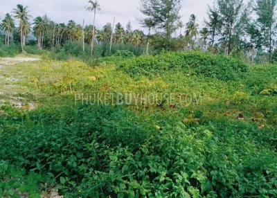 PHA5855: Beachfront Plot in Pangna