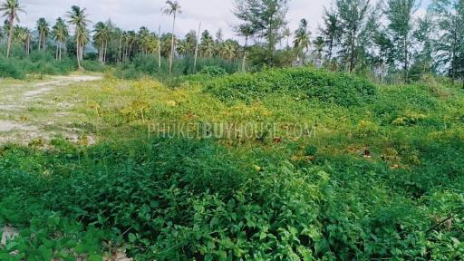 PHA5855: Beachfront Plot in Pangna