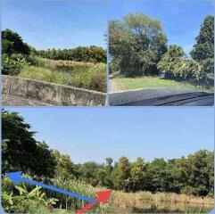 For Sale and Rent Bangkok Land Vacharapol Sai Mai