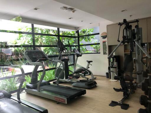 For Rent Bangkok Condo Mode Sukhumvit 61 Sukhumvit 61 BTS Ekkamai Watthana