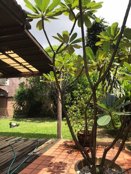 For Sale Bangkok Single House Lat phrao Lat phrao