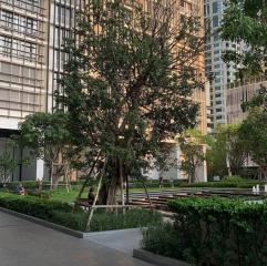 For Rent Bangkok Condo Park 24 Sukhumvit 24 BTS Phrom Phong Khlong Toei