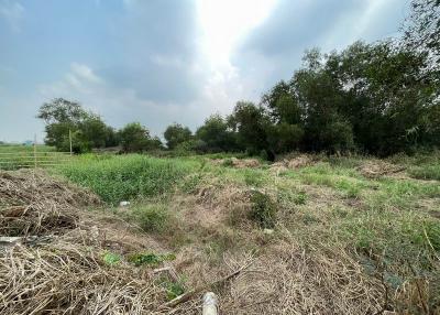 For Sale Pathum Thani Land Lam Luk Ka Lam Luk Ka