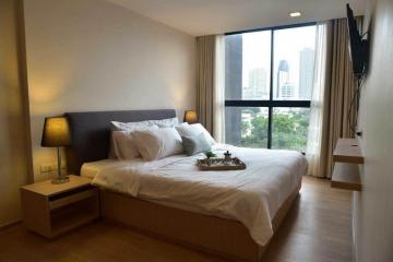 For Rent Bangkok Condo Liv @ 49 Sukhumvit 49 BTS Thong Lo Watthana