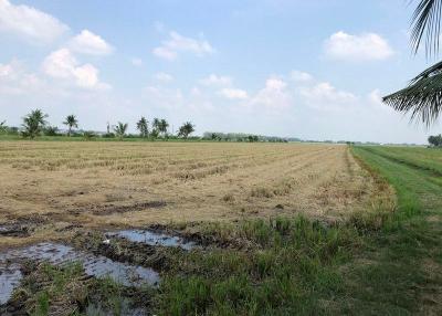 For Sale Pathum Thani Land Lam Luk Ka