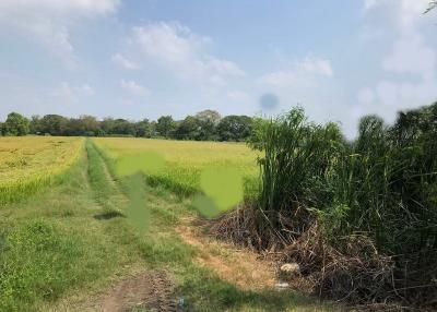 For Sale Pathum Thani Land Lam Luk Ka