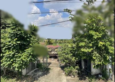 For Sale Bangkok Land Sukhumvit BTS On Nut Suan Luang