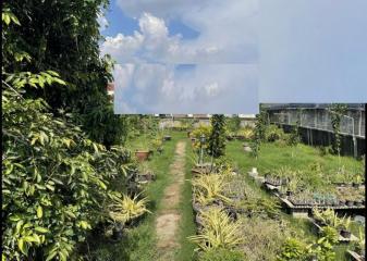 For Sale Bangkok Land Sukhumvit BTS On Nut Suan Luang