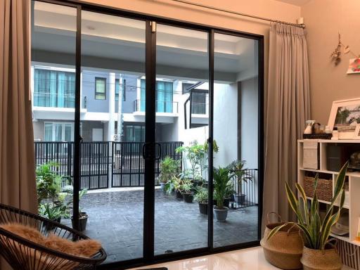 For Rent Bangkok Town House Bless Town Sukhumvit 50 Sukhumvit 50 BTS On Nut Khlong Toei