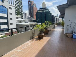 For Rent Bangkok Condo Chapter 31 Sukhumvit 31 BTS Phrom Phong Watthana