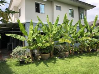 For Rent Bangkok House The Plant Phatthanakan BTS On Nut Suan Luang