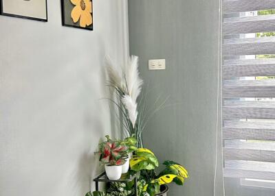 For Rent Bangkok Town House The Preston Krungthep Kreetha Hua Mak Bang Kapi