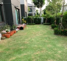 For Sale and Rent Samut Prakan House Centro Bangna km.7 Buanakarin Bang Phli