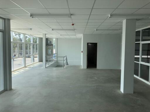 For Rent Pathum Thani Factory Rangsit Khlong Luang