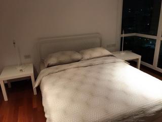 For Rent Bangkok Condo DLV Thonglor Sukhumvit 55 BTS Thong Lo Watthana