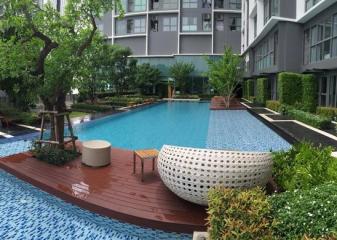 For Rent Bangkok Condo Ideo Mobi Sukhumvit Sukhumvit 81 BTS On Nut Phra Khanong