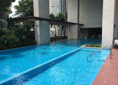 For Rent Bangkok Condo The Madison Sukhumvit 41 BTS Phrom Phong Watthana