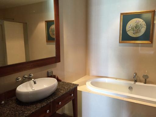 For Sale and Rent Bangkok Condo The Madison Sukhumvit 41 BTS Phrom Watthana