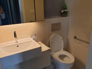 For Rent Bangkok Condo IDEO Morph 38 ASHTON Sukhumvit 38 BTS Thong Lo Khlong Toei