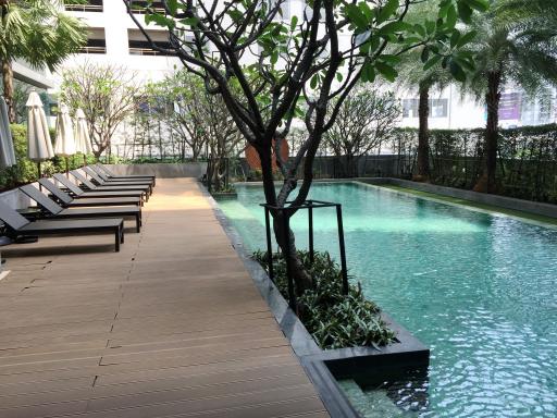 For Sale and Rent Bangkok Condo The Room 21 Sukhumvit 21 BTS Asok MRT Sukhumvit Watthana