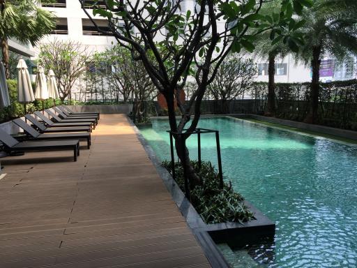 For Sale and Rent Bangkok Condo The Room 21 Sukhumvit 21 BTS Asok MRT Sukhumvit Watthana