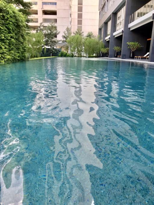 For Rent Bangkok Condo Noble Ploenchit Phloen Chit BTS Phloen Chit Pathum Wan